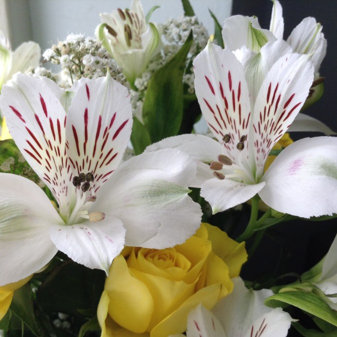 A Rose amidst Two Hearts