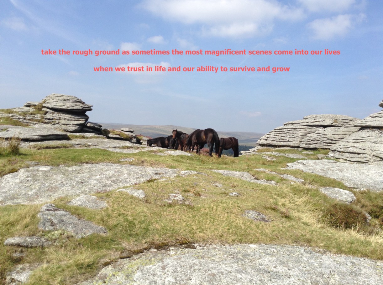 Copyright 2015 Kay/wavesandpebbles 