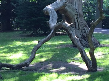 Copyright 2015 Kay/wavesandpebbles