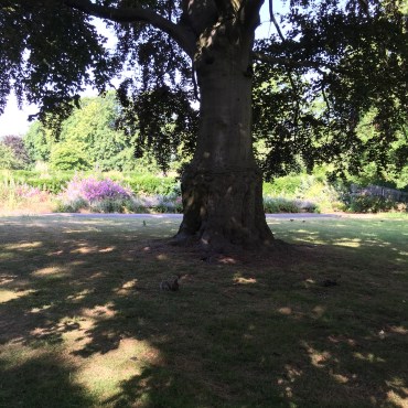 Copyright 2015 Kay/wavesandpebbles