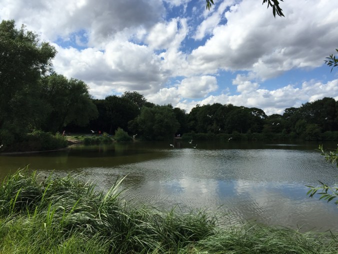 Copyright 2015 Kay/wavesandpebbles