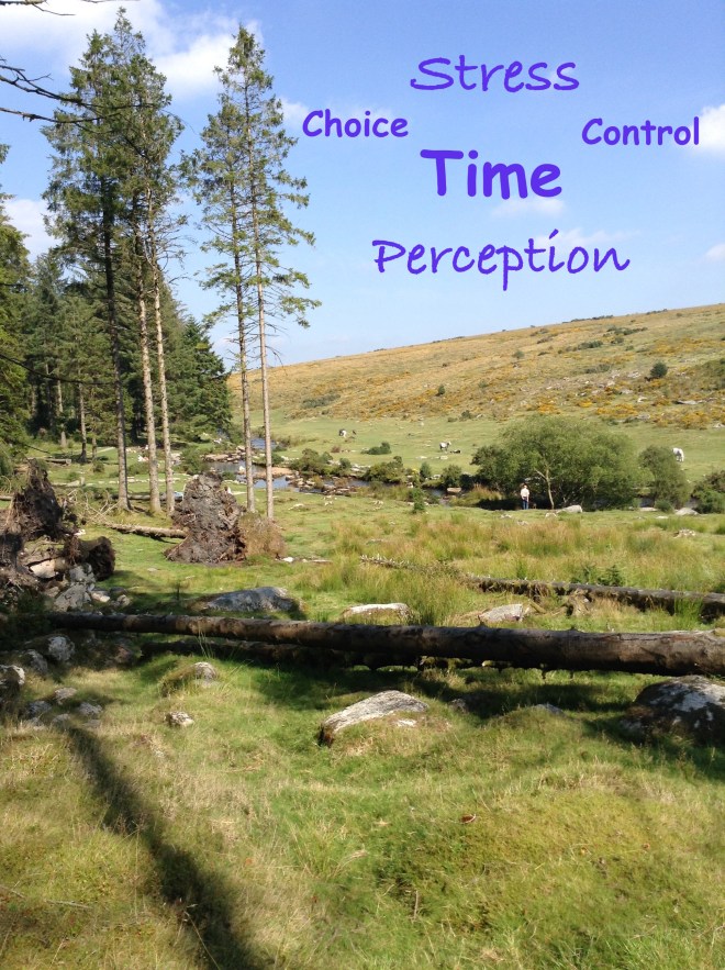 Copyright 2015, Kay/wavesandpebbles