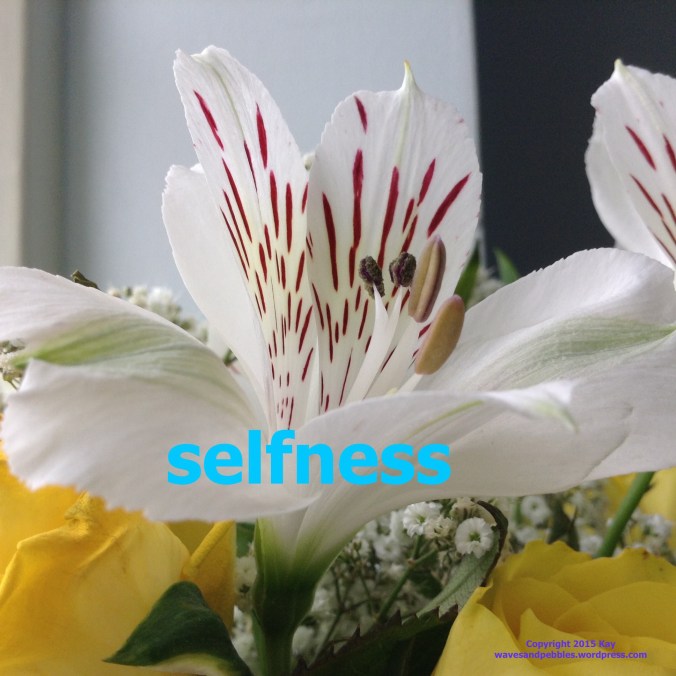 Copyright 2015 Kay/wavesandpebbles