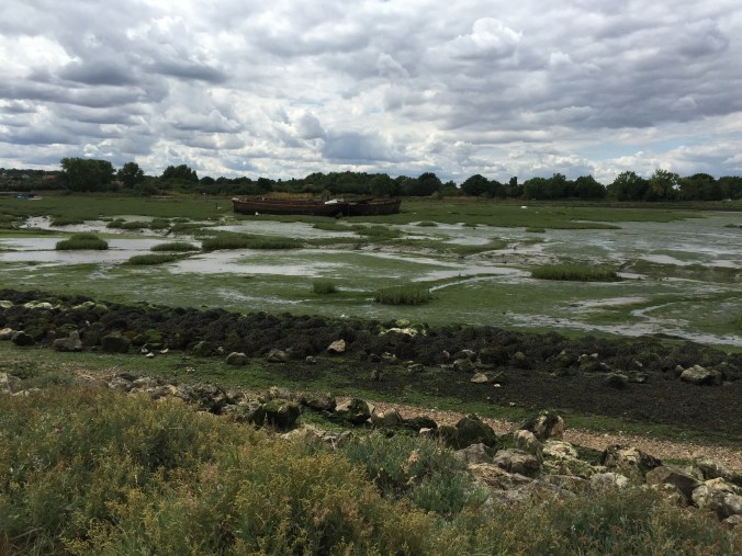 Copyright 2015 Kay/wavesandpebbles