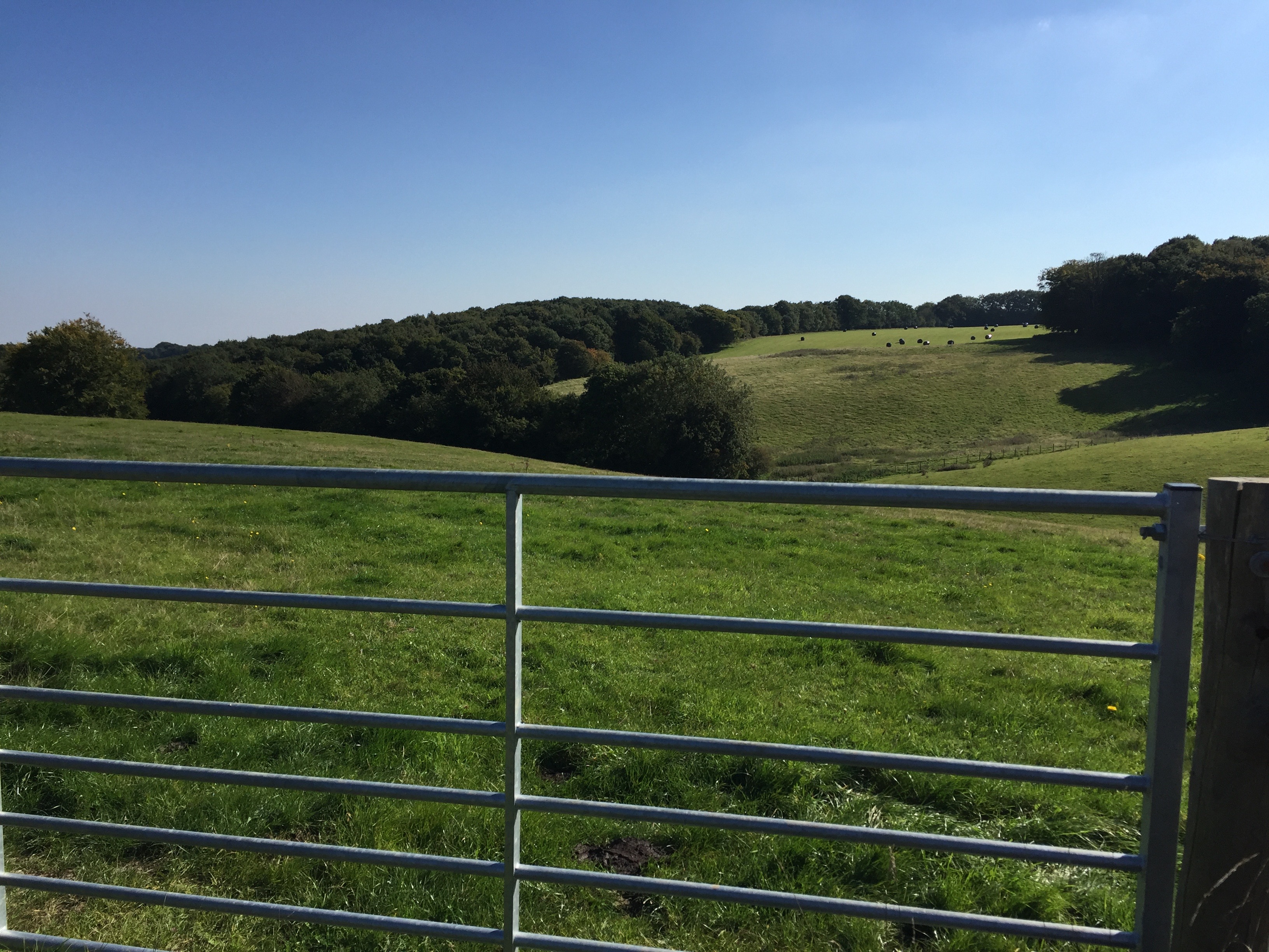 Copyright 2015 Kay/wavesandpebbles