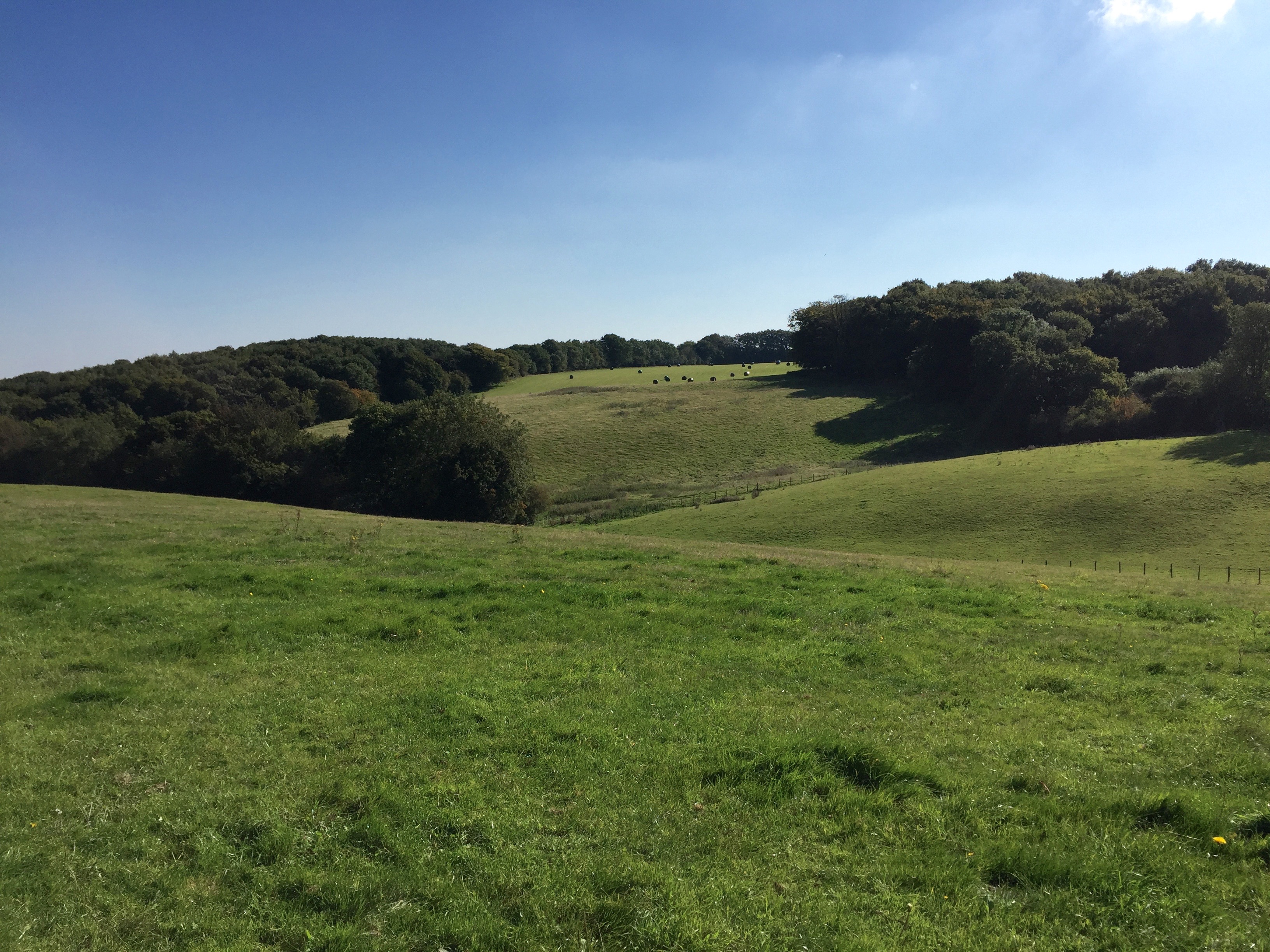 Copyright 2015 Kay/wavesandpebbles